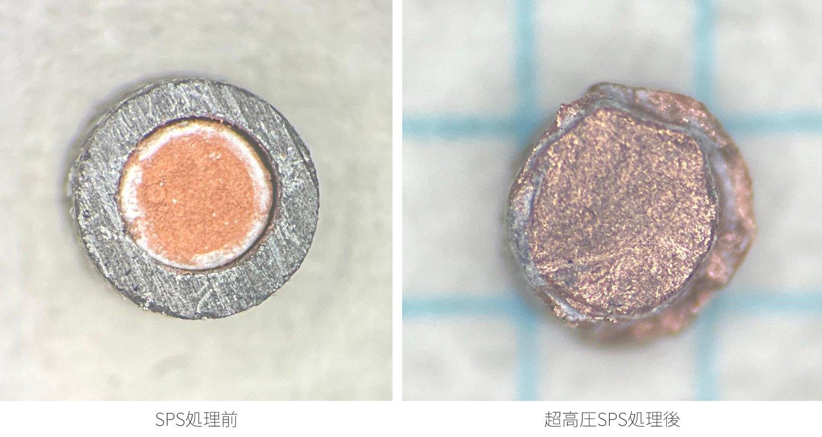 ［写真2：ダイヤモンド40体積%の試料。SPS処理前（左）と超高圧SPS処理後（右）］