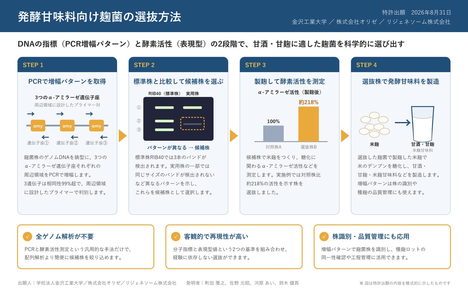 麹菌のDNA指標と酵素活性を組み合わせた「発酵甘味料向け麹菌の選抜方法」に関する（図2）